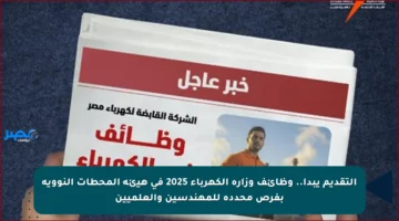 التقديم يبدأ.. وظائف وزارة الكهرباء 2025 في هيئة المحطات النووية بفرص محددة للمهندسين والعلميين